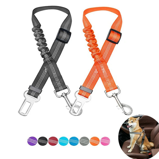 MomentoWoof Ceinture