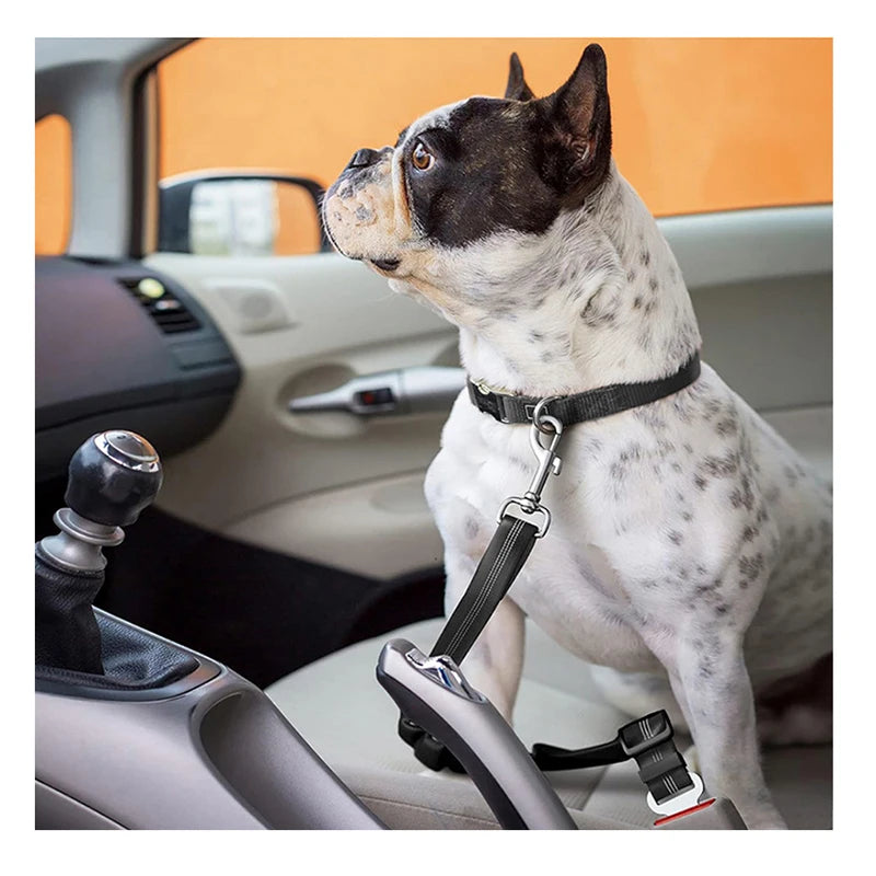 85c2b36d3bfb88d5a31ef2dc087f982e