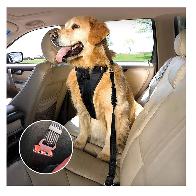 7f9af193960978da27adb6b60408025d