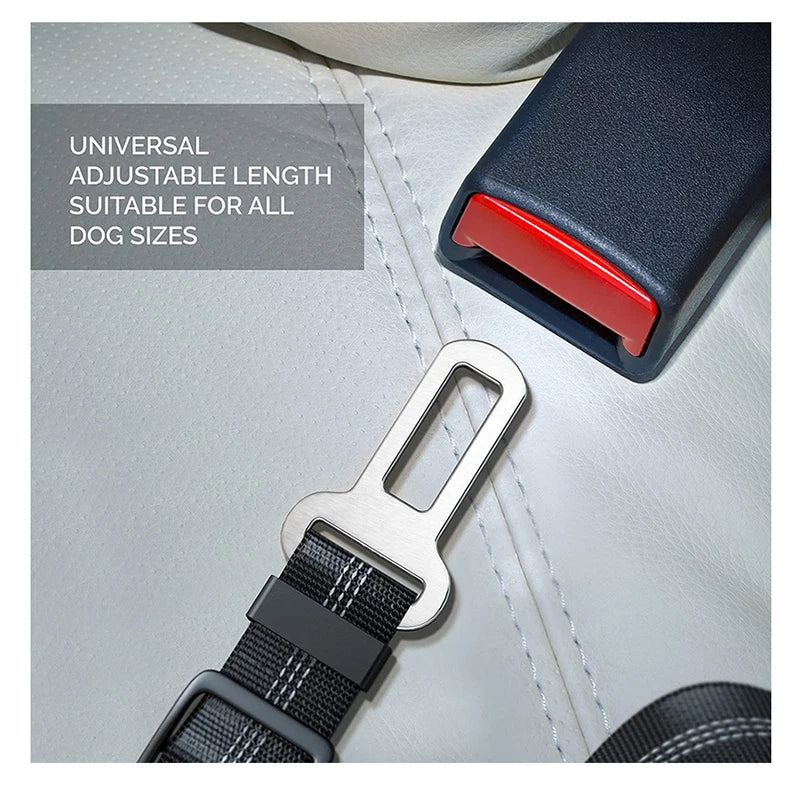 fc45bd9072cf6606df7a980a26d40254