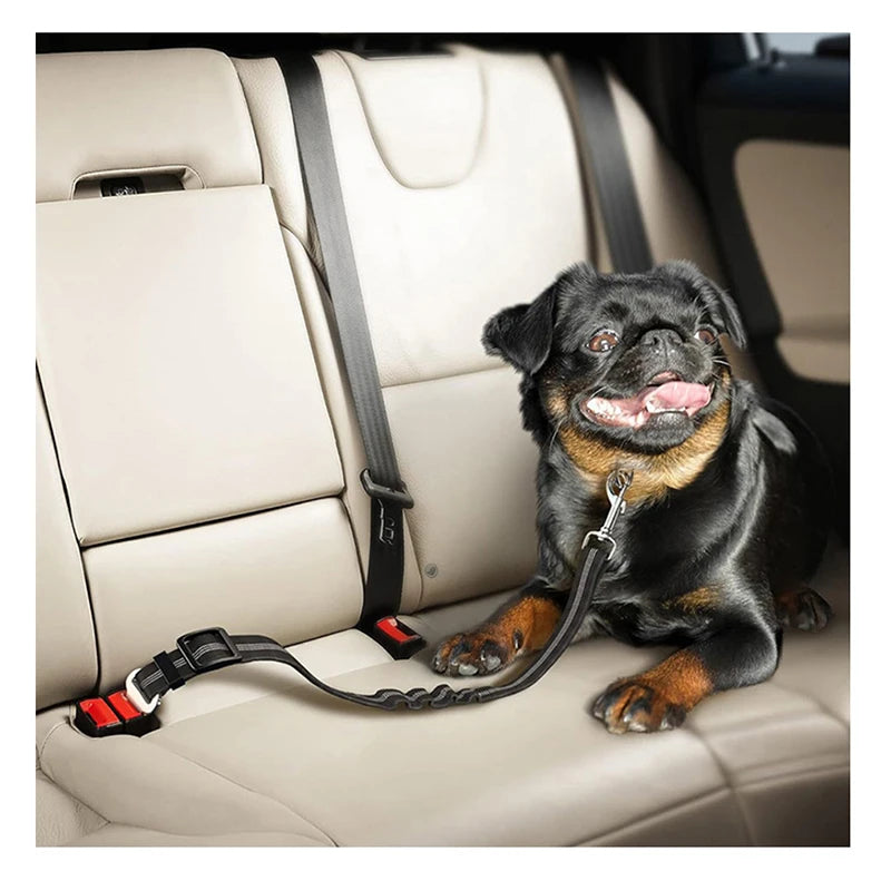 a6bf796a06fa0830c5bead28535fbf13