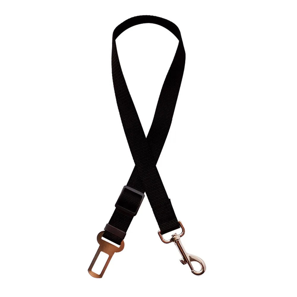 MomentoWoof Ceinture