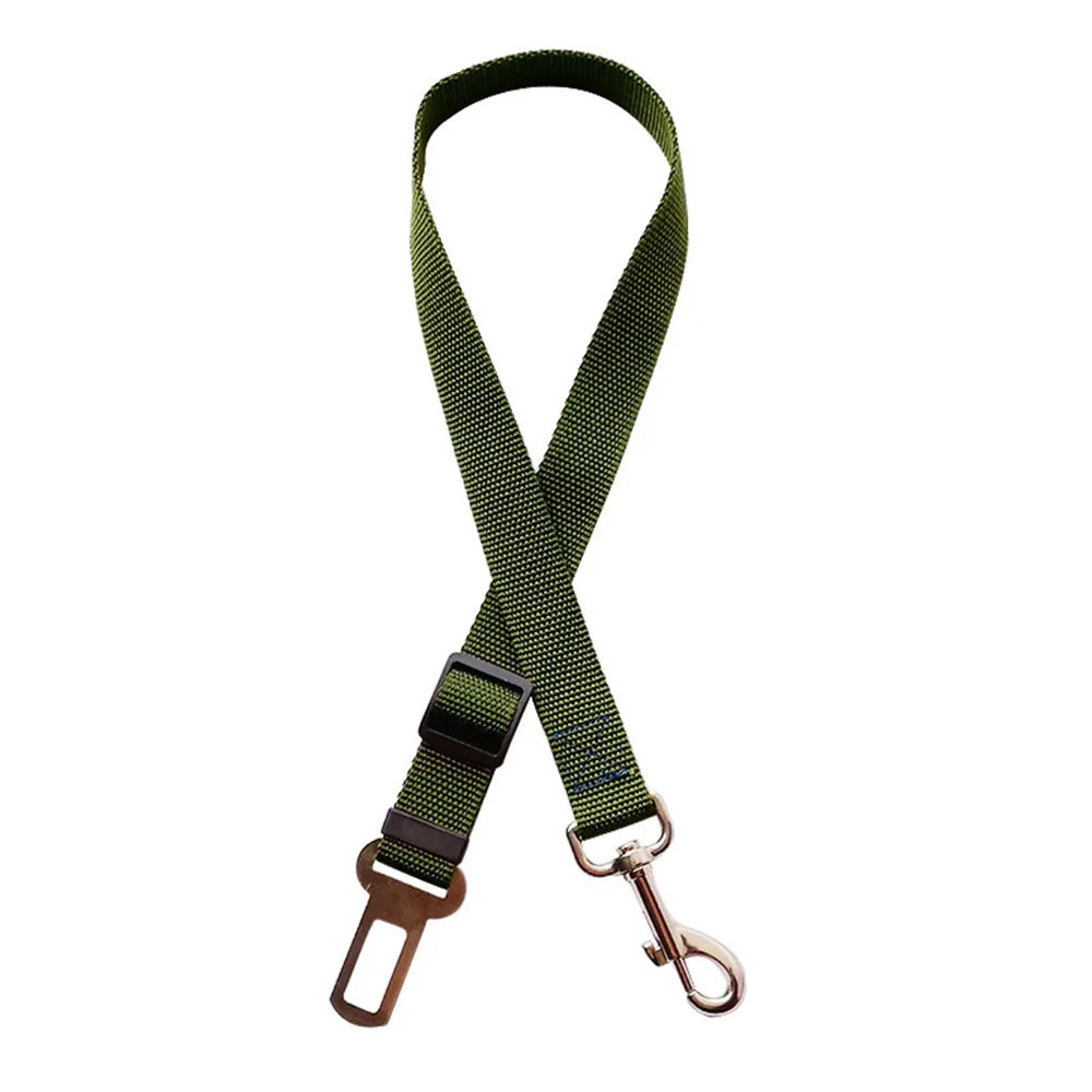 MomentoWoof Ceinture