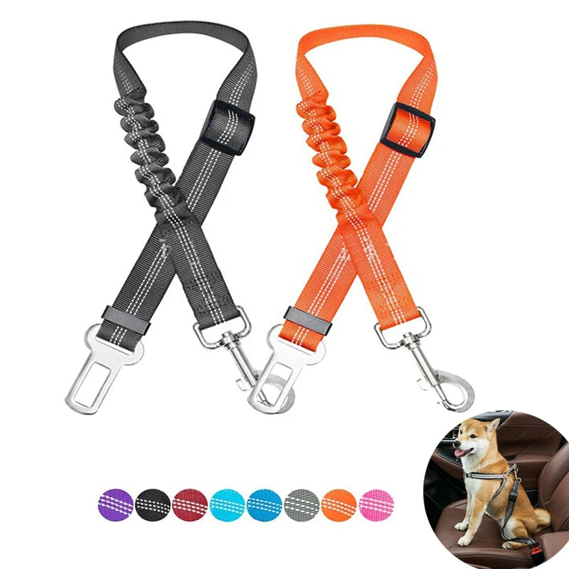 MomentoWoof Ceinture
